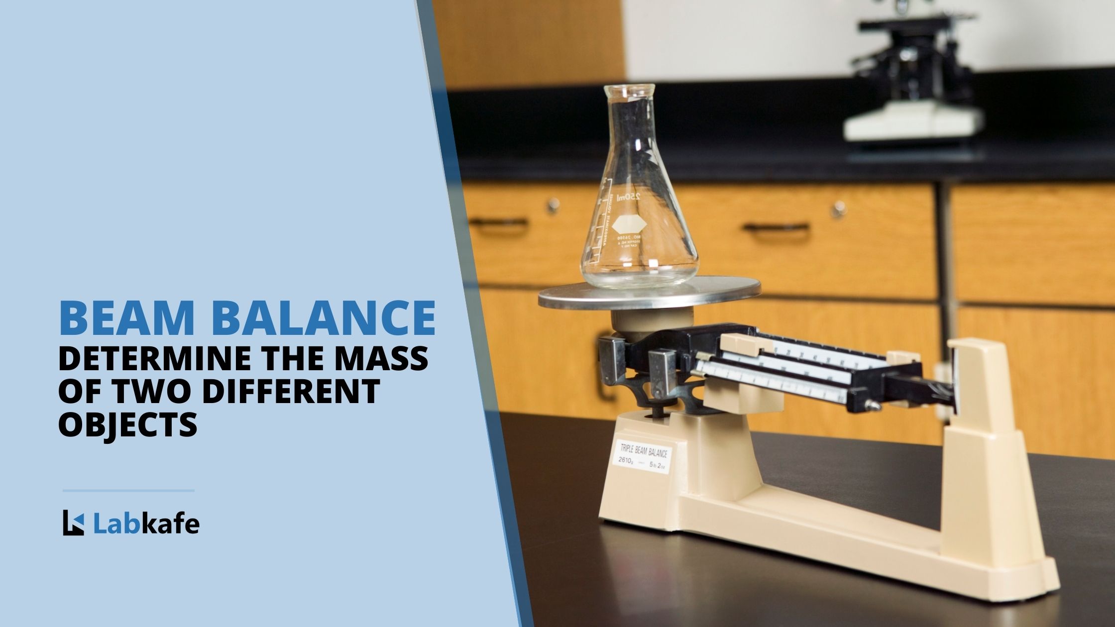 Beam Balance: Physics Experiment Class 11 to determine mass of two different objects | Physical Balance