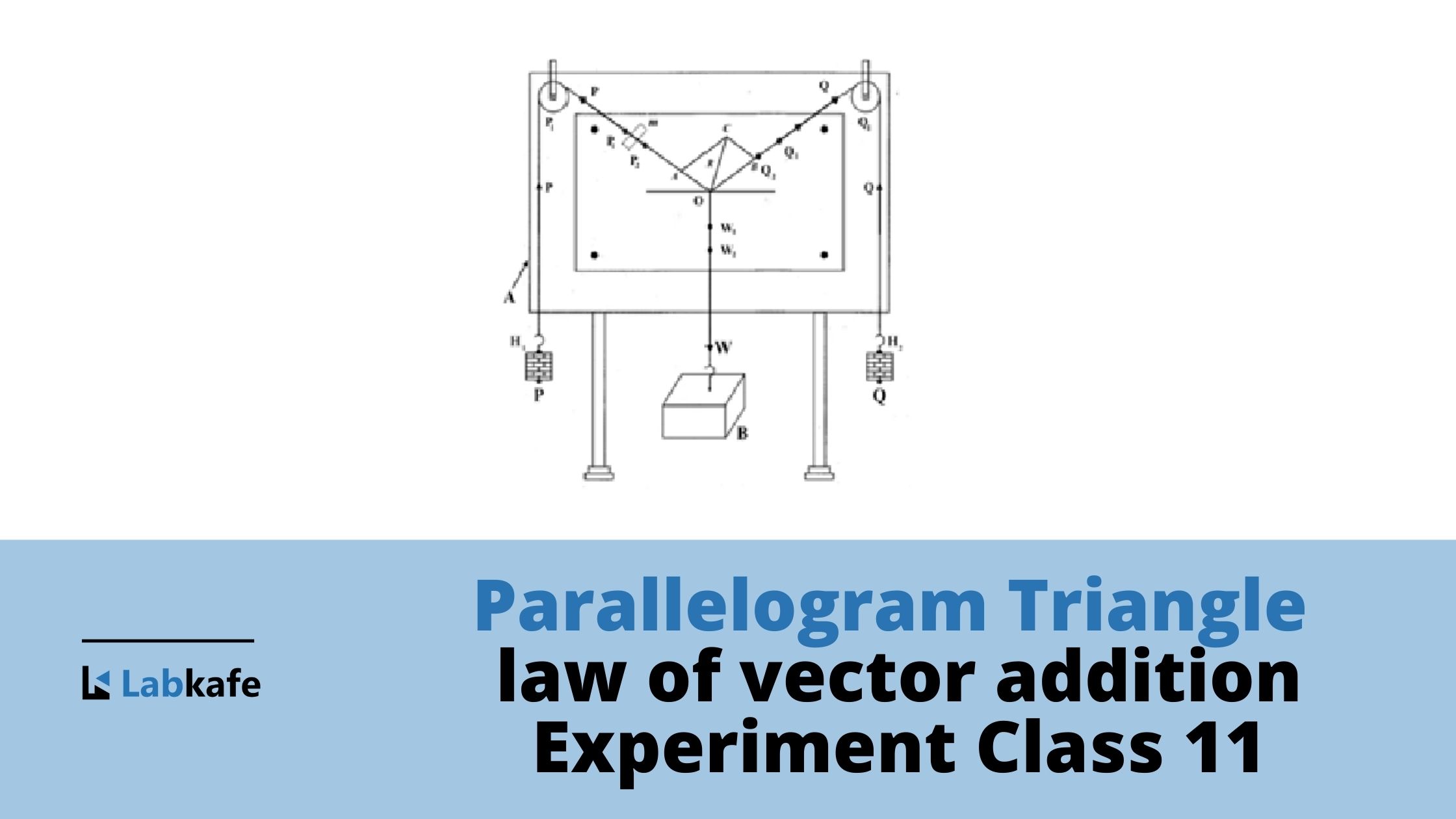 Parallelogram Triangle Law of vector addition Experiment Class 11 | Gravesand’s apparatus