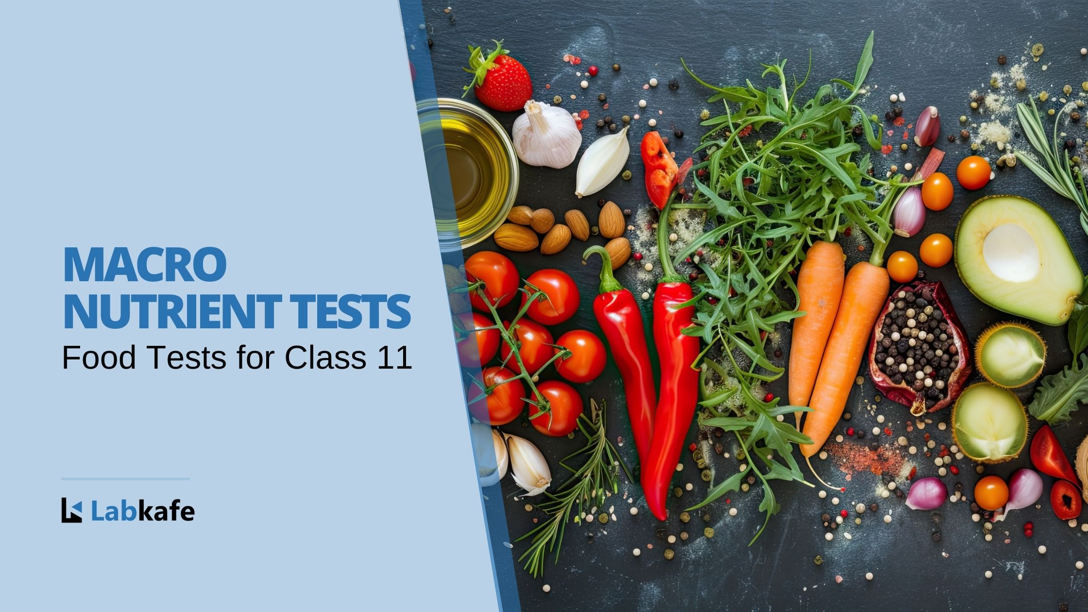 Macro Nutrients Tests –  Food tests for class 11-12 | Labkafe