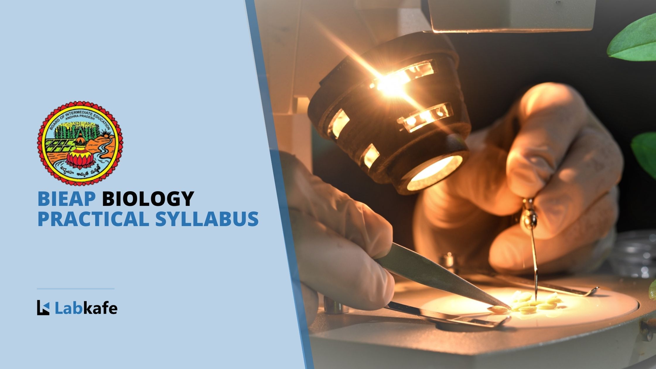 BIEAP Biology Practical Syllabus | Labkafe