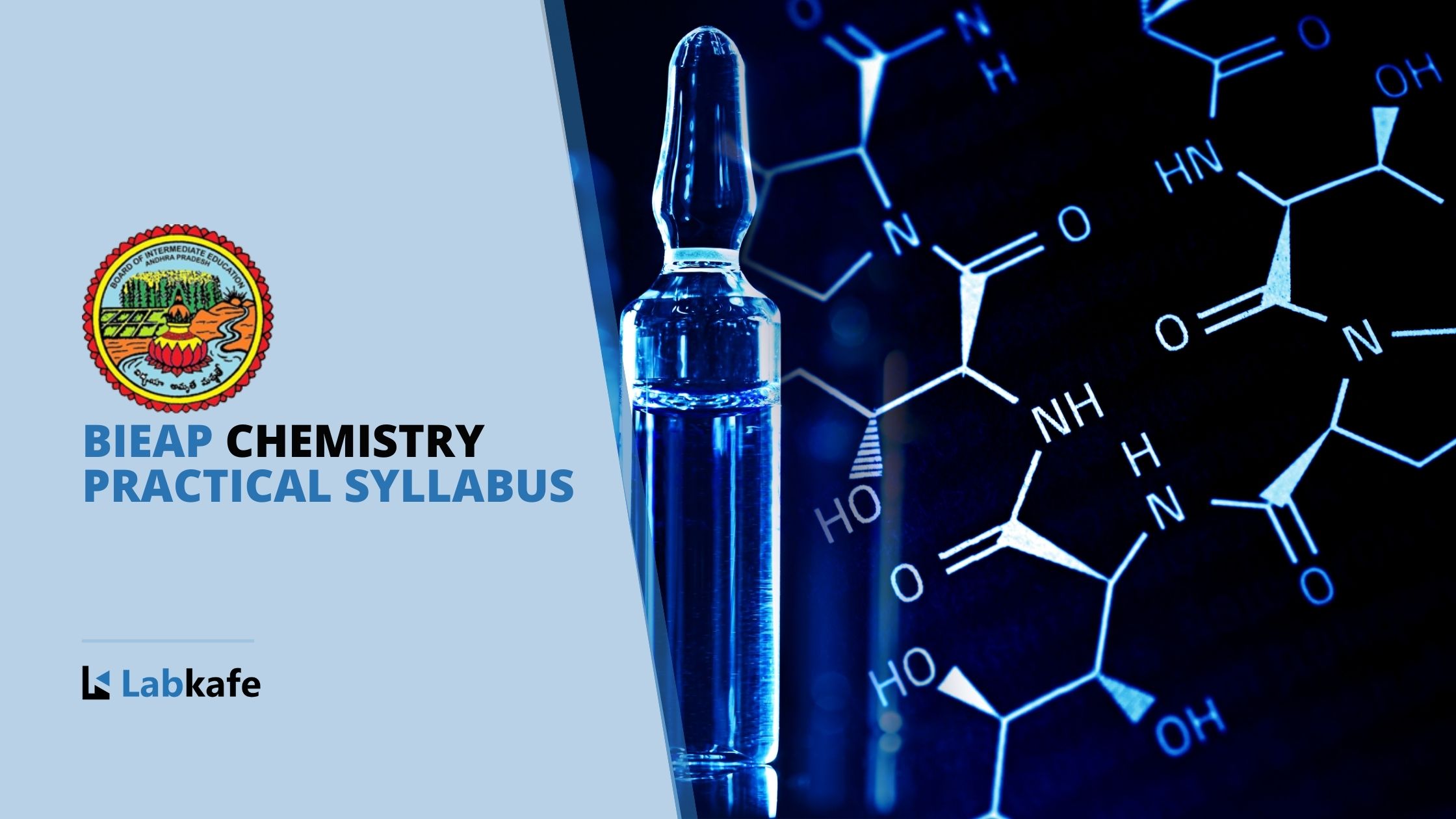 BIEAP Chemistry Practical Syllabus 2022 | Labkafe