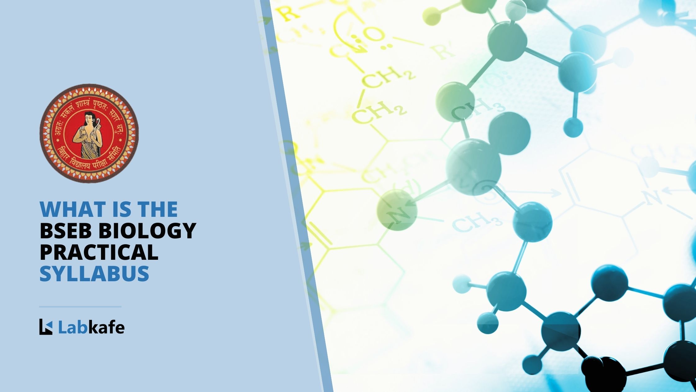 What is the BSEB Biology Practical Syllabus | Labkafe