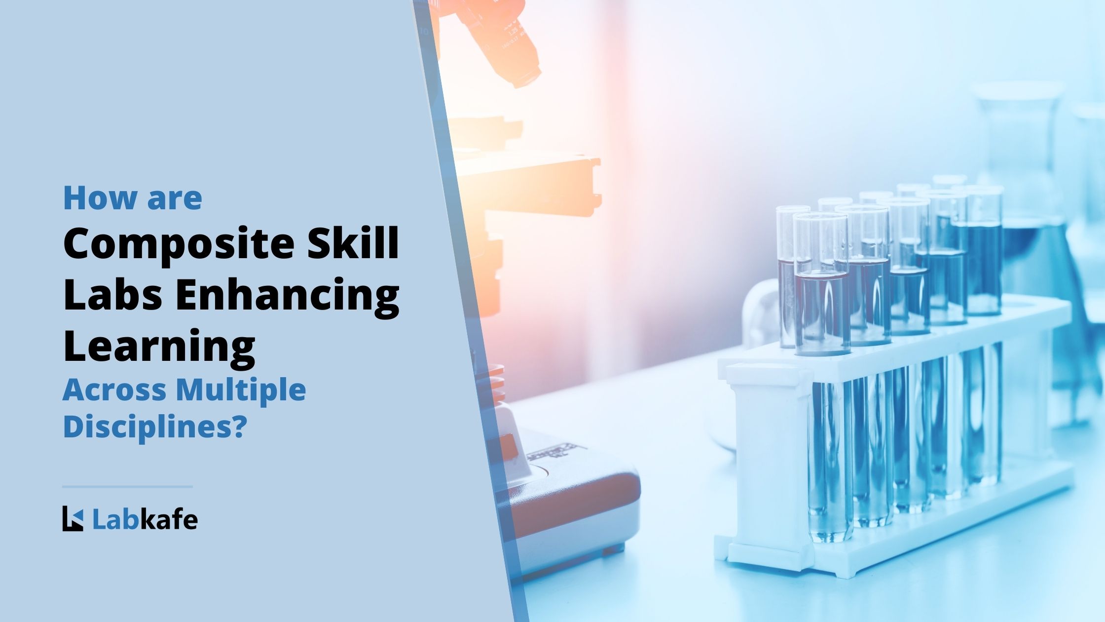 How are Composite Skill Labs Enhancing Learning Across Multiple Disciplines?