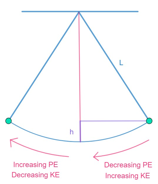 Transformation of potential energy into kinetic energy and vice versa in a pendulum. coupled pendulum. 