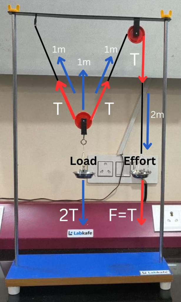 Pulley system demonstration model by Labkafe