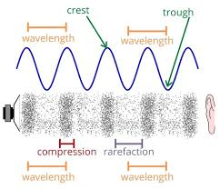 Compression and rarefaction in a spring (Source- Elephango)