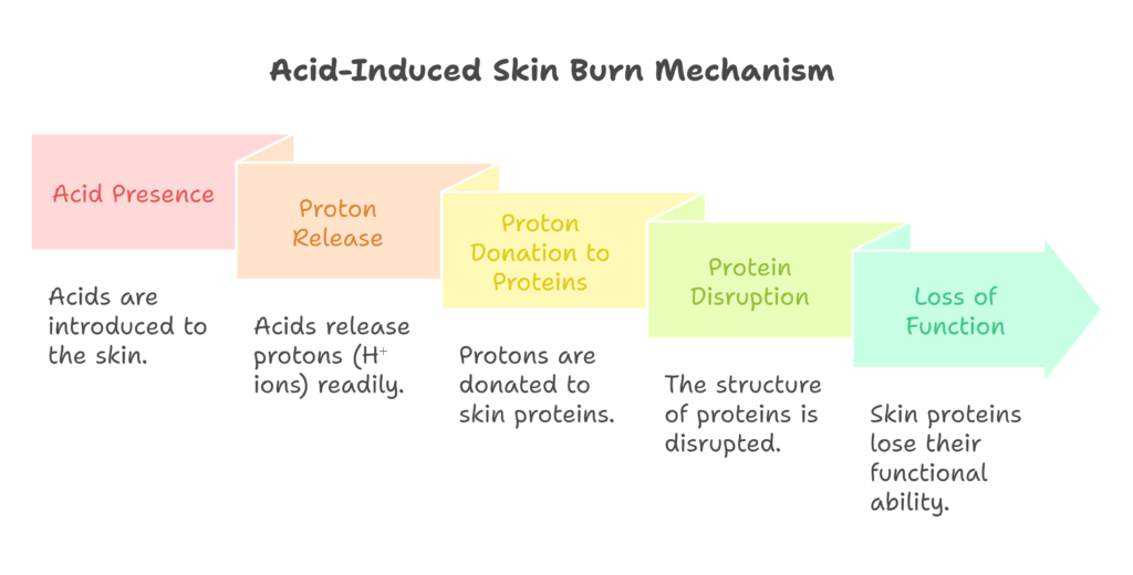 effect of pH on human skin