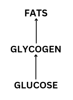 Order of energy source utilization by the human body during autophagy fasting