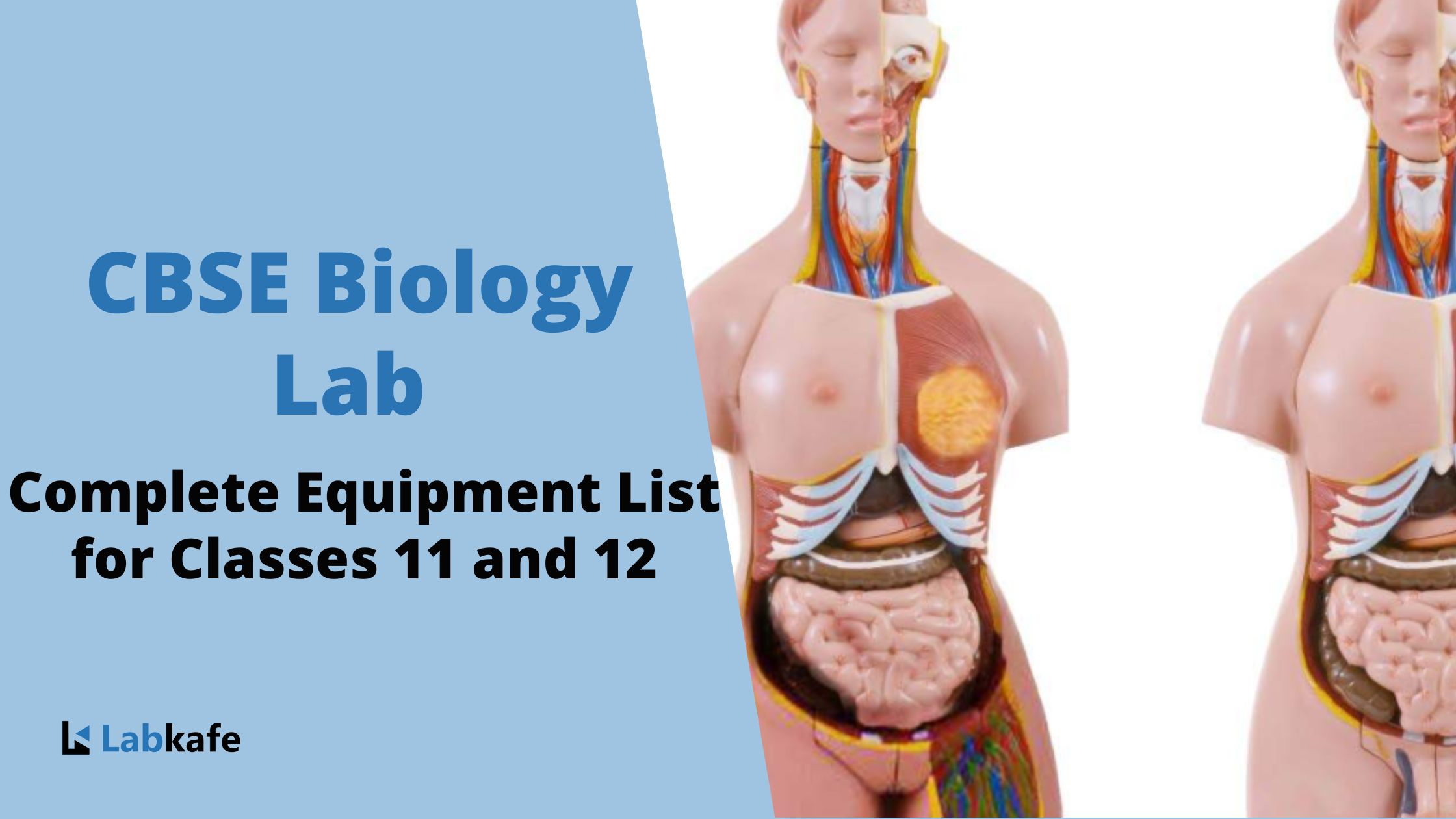 CBSE Biology Lab Equipment List for Class 11 and 12