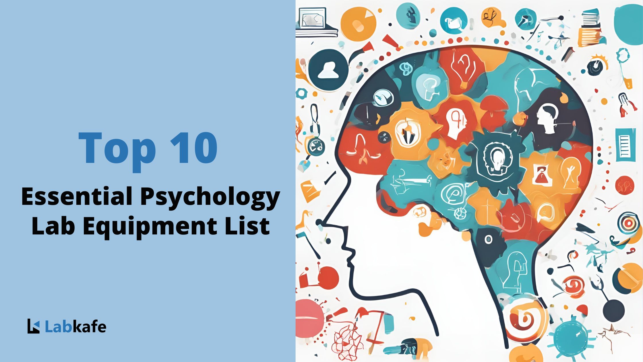 Top 10 Essential Psychology Lab Equipment List