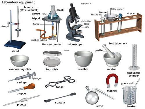 Essential school biology lab equipment for maintenance