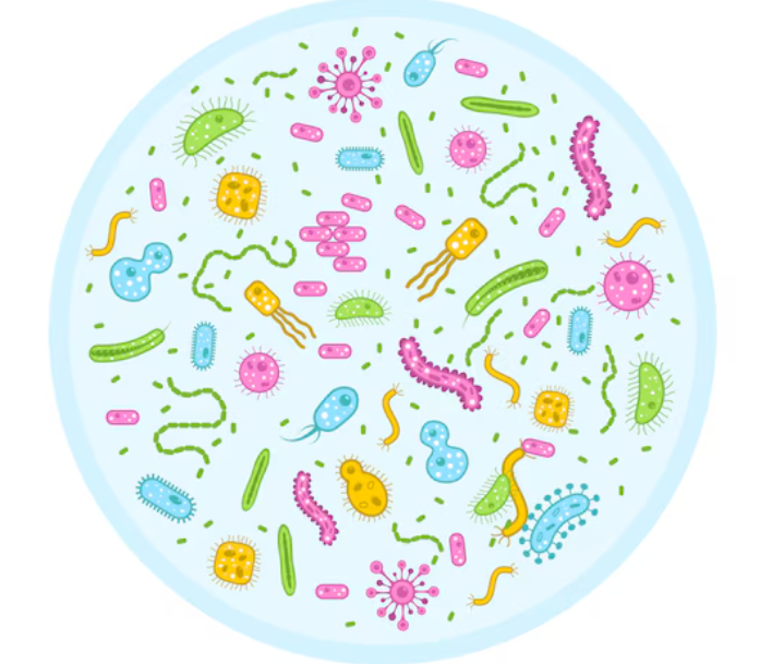 pathogen and contamination control essential in biology lab management