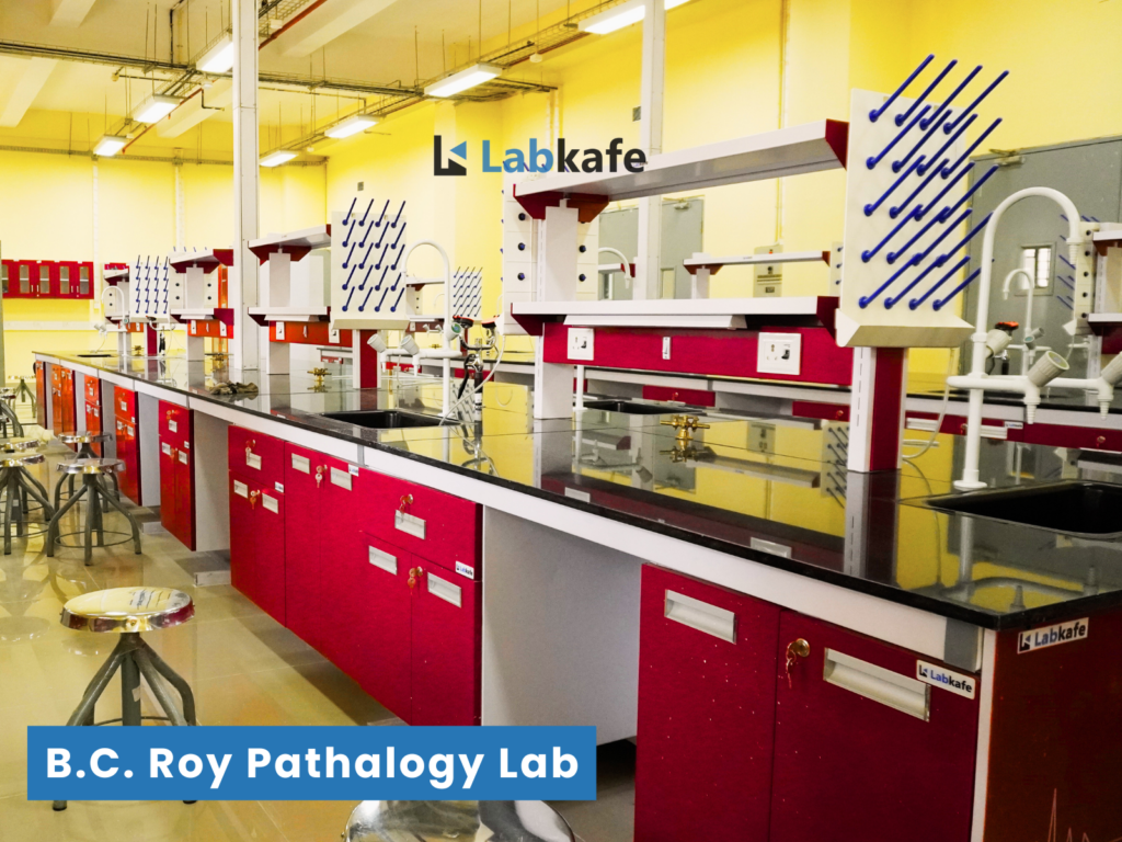 Labkafe lab furniture project at pathology Lab