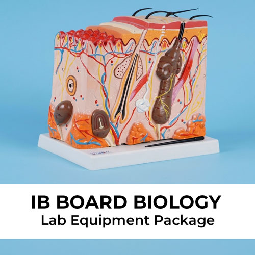IB Biology Lab Equipment Package