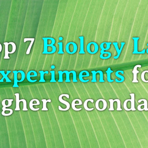 Common biology experiments for class 11 12 Practicals | Labkafe