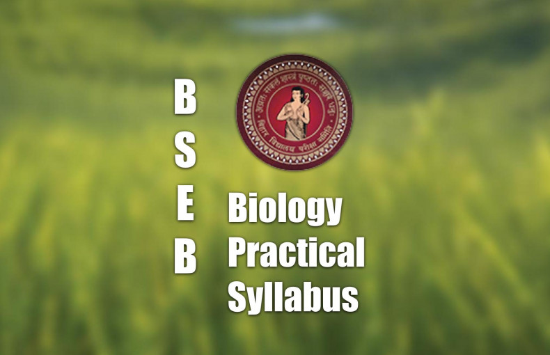 What is the BSEB Biology Practical Syllabus | Labkafe