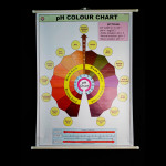 PH COLOUR CHART (Polyart) 70x100cm.