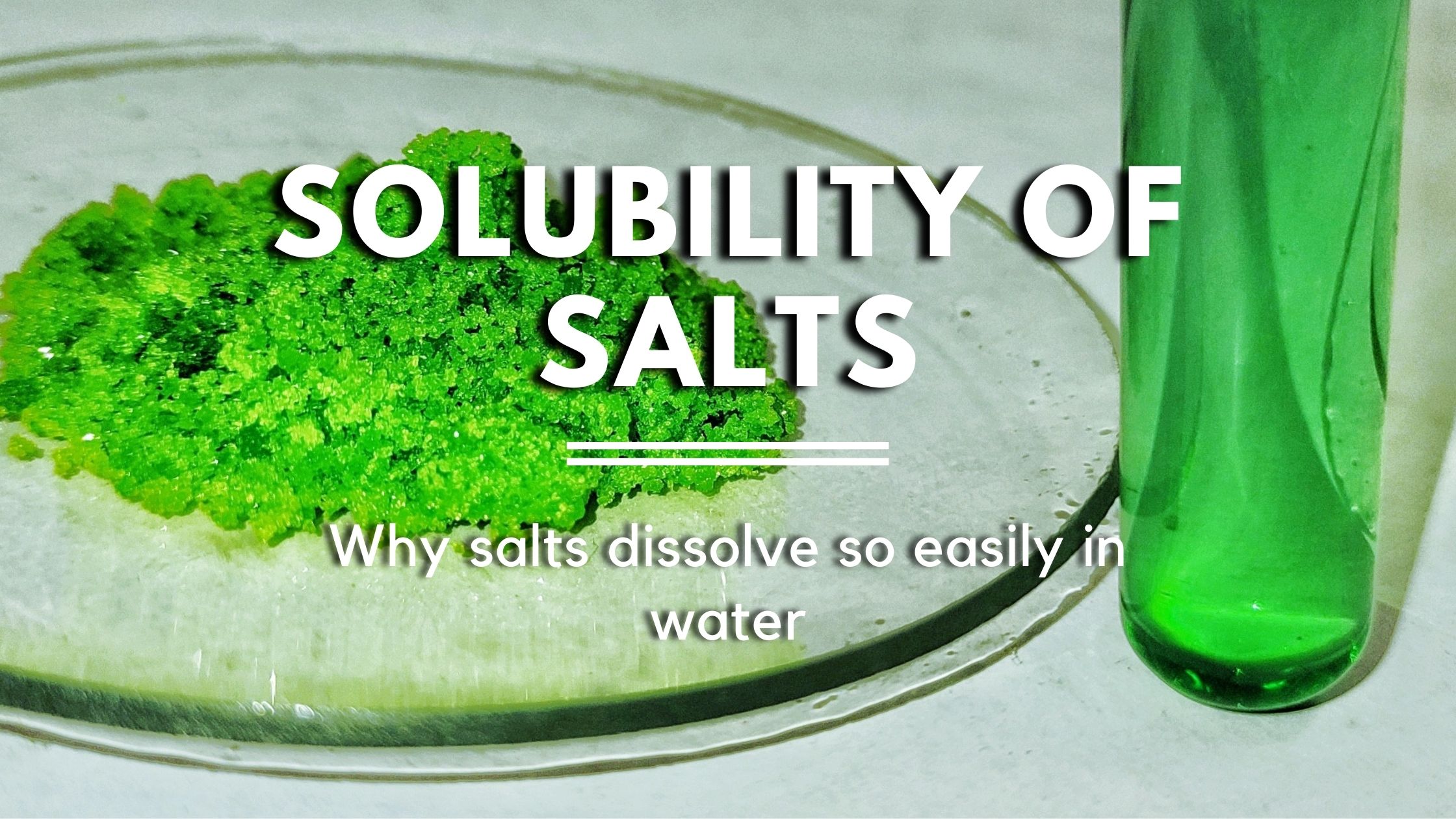 Solubility Of Salts Why Common Salts Are So Soluble In Water Labkafe