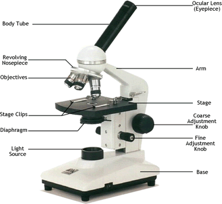 microscope - lab eqipment