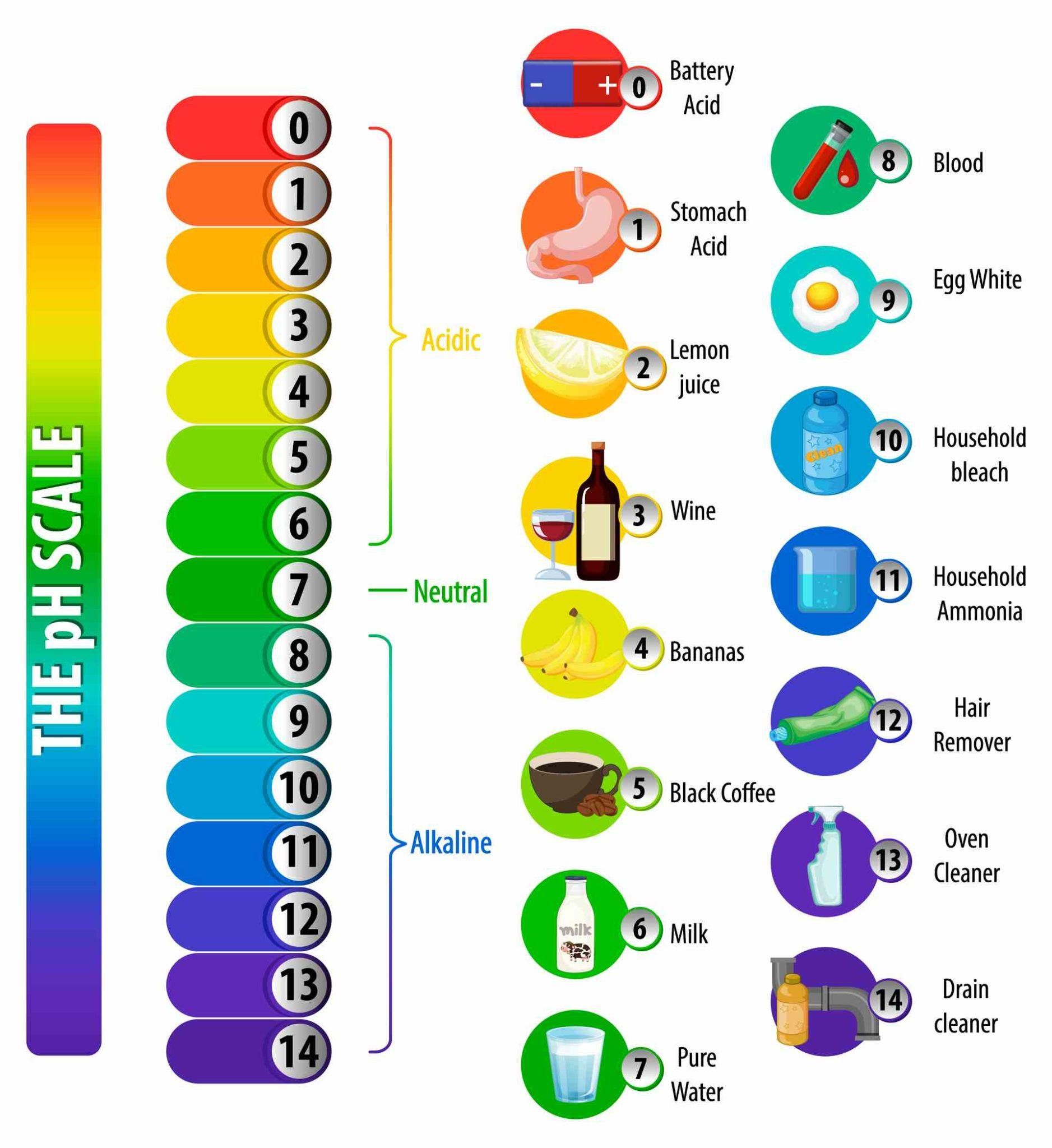 Universal Indicator What Is It Why Do We Need It And How To Use 